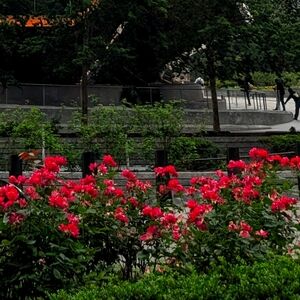 Meet your Posher, Cam